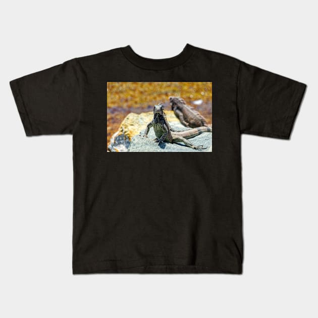 Iguanas Sunning on Rocks in St. Thomas Kids T-Shirt by jillnightingale